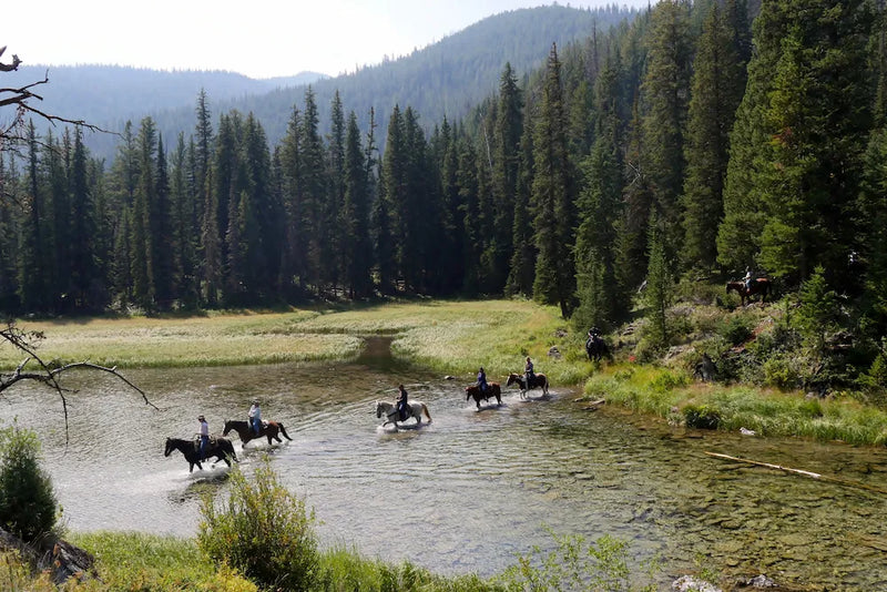 Flat Creek Ranch - Jackson, WY