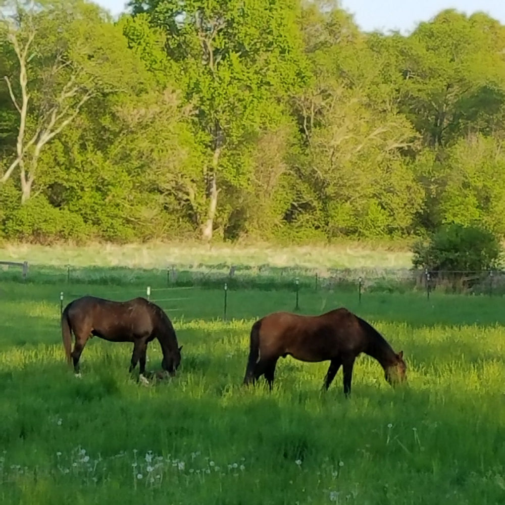 Iron Star Outpost East