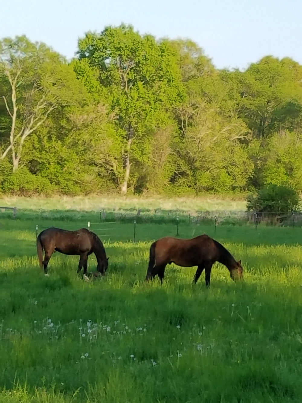 Iron Star Outpost East