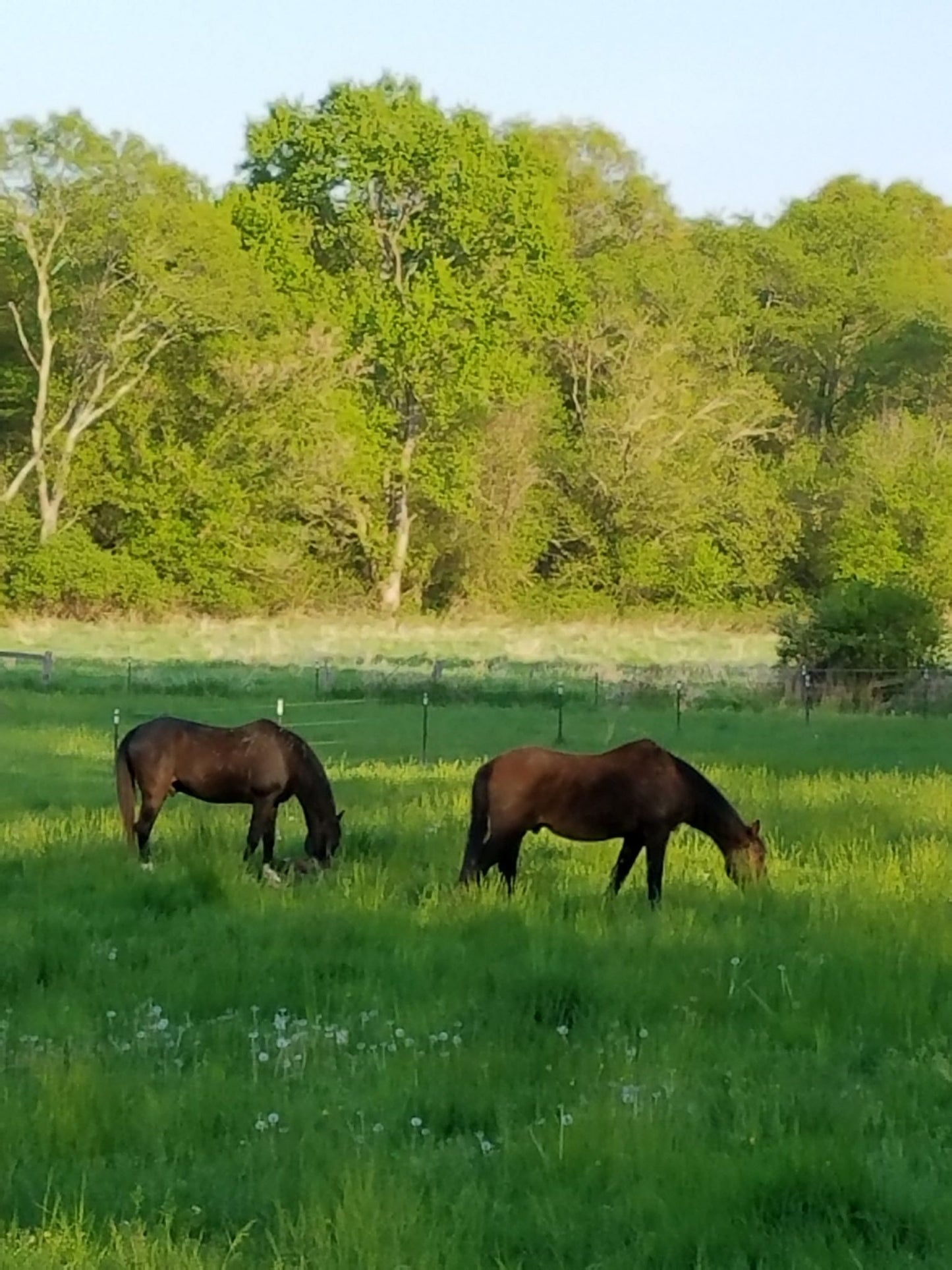 Iron Star Outpost East