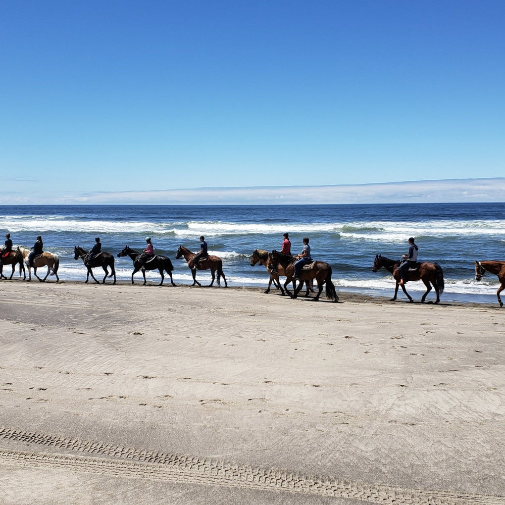Twin Creeks Beach And Trail Rides