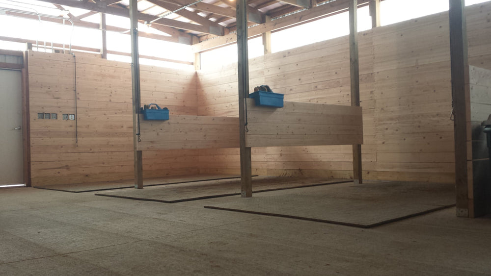 
                      
                        Faith Training Center
                      
                    