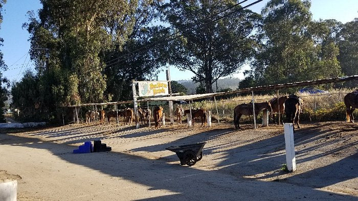 
                      
                        Sea Horse Ranch
                      
                    