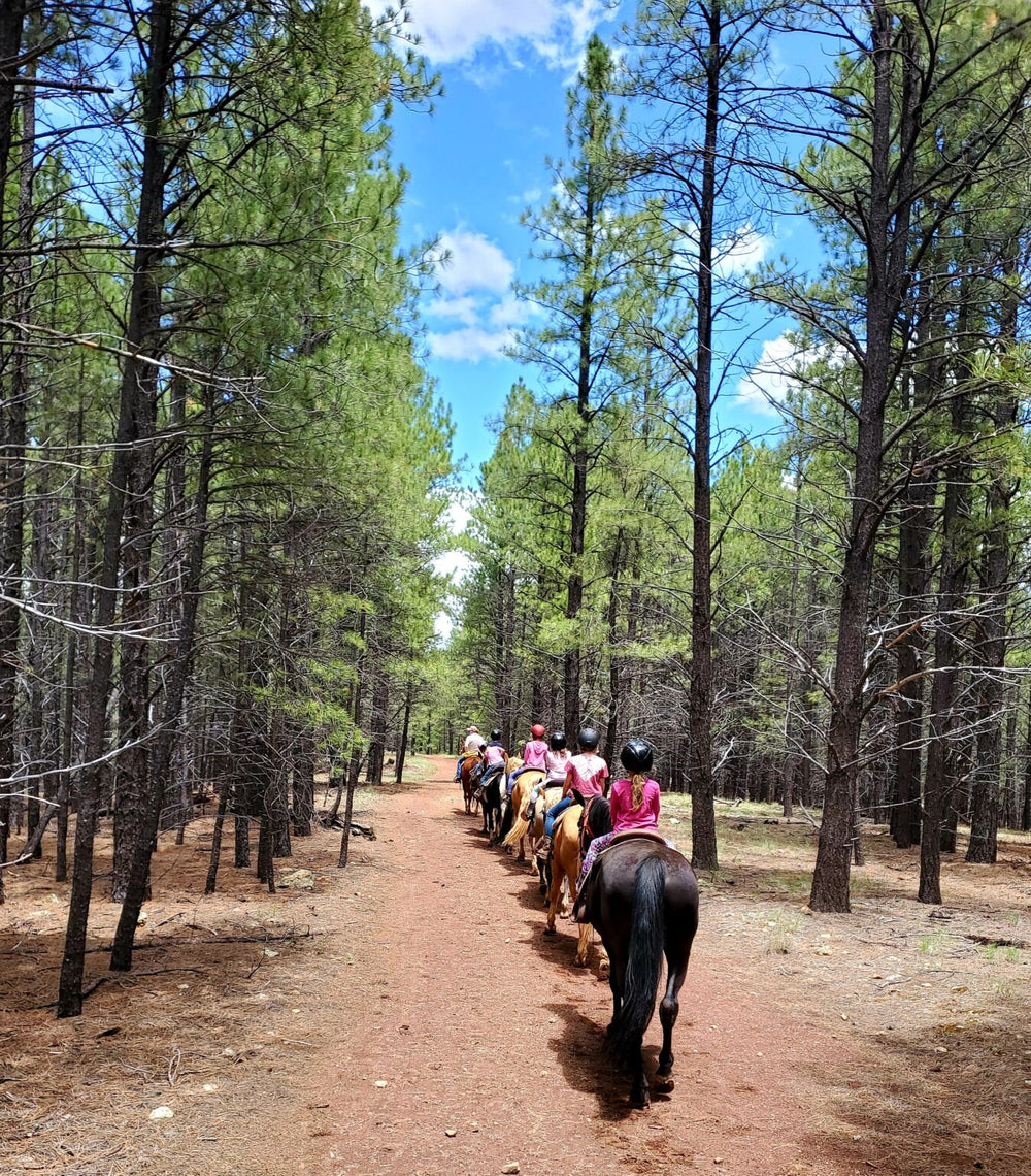 Historic Hitchin' Post Stables
