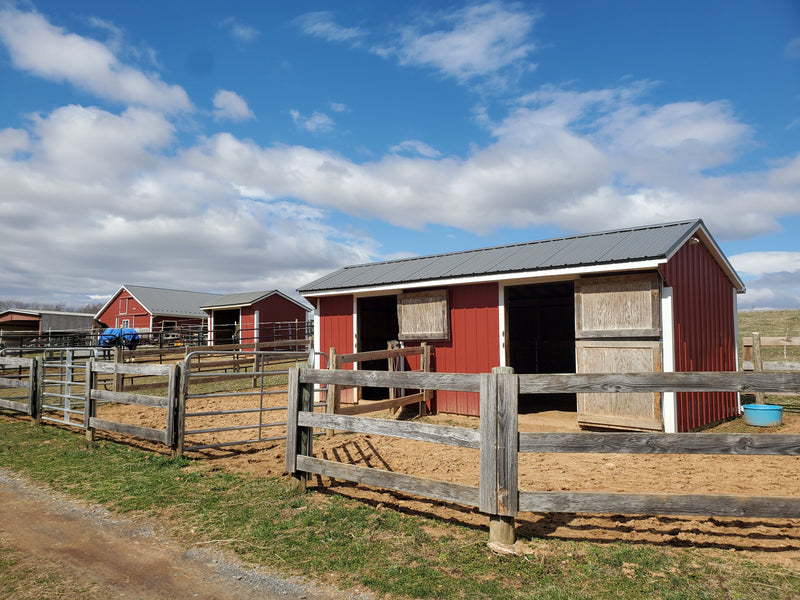GemStone Stable