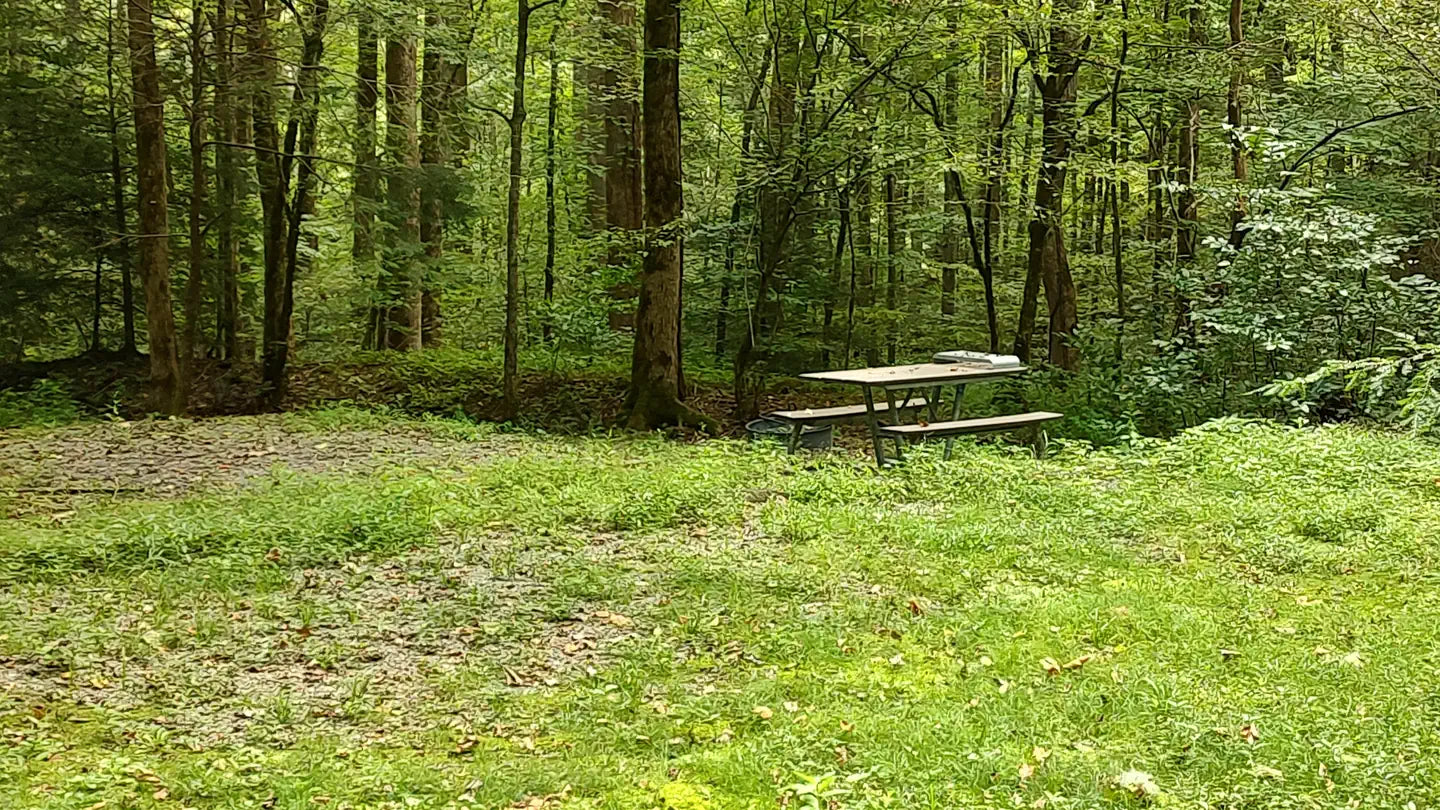 Great Smoky Mountains: Big Creek Horse Camp