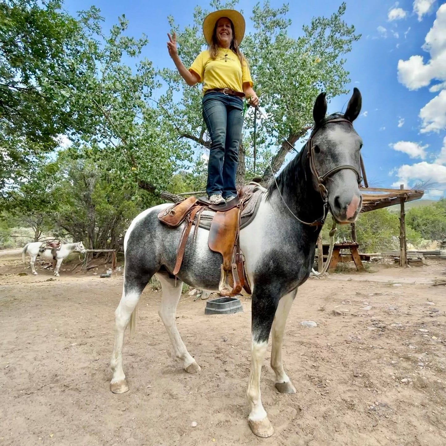 Cieneguilla Stables