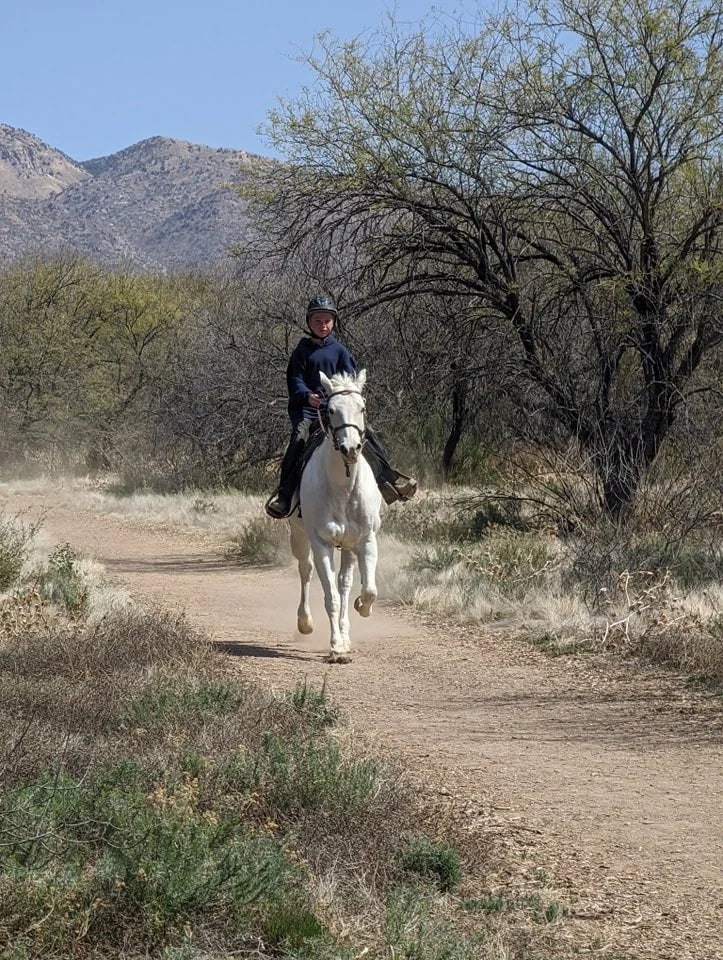 
                      
                        Heart of the Horse Ranch
                      
                    