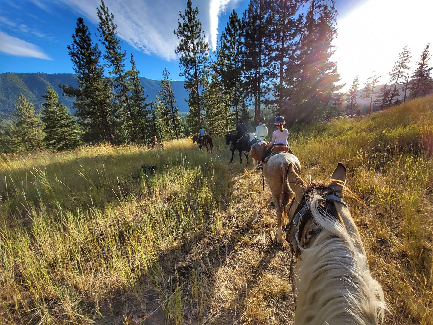 Hoods Western Adventures