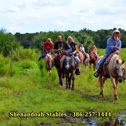 Shenandoah Stables Horseback Riding