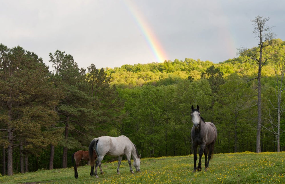 Rim Rock Cover Ranch