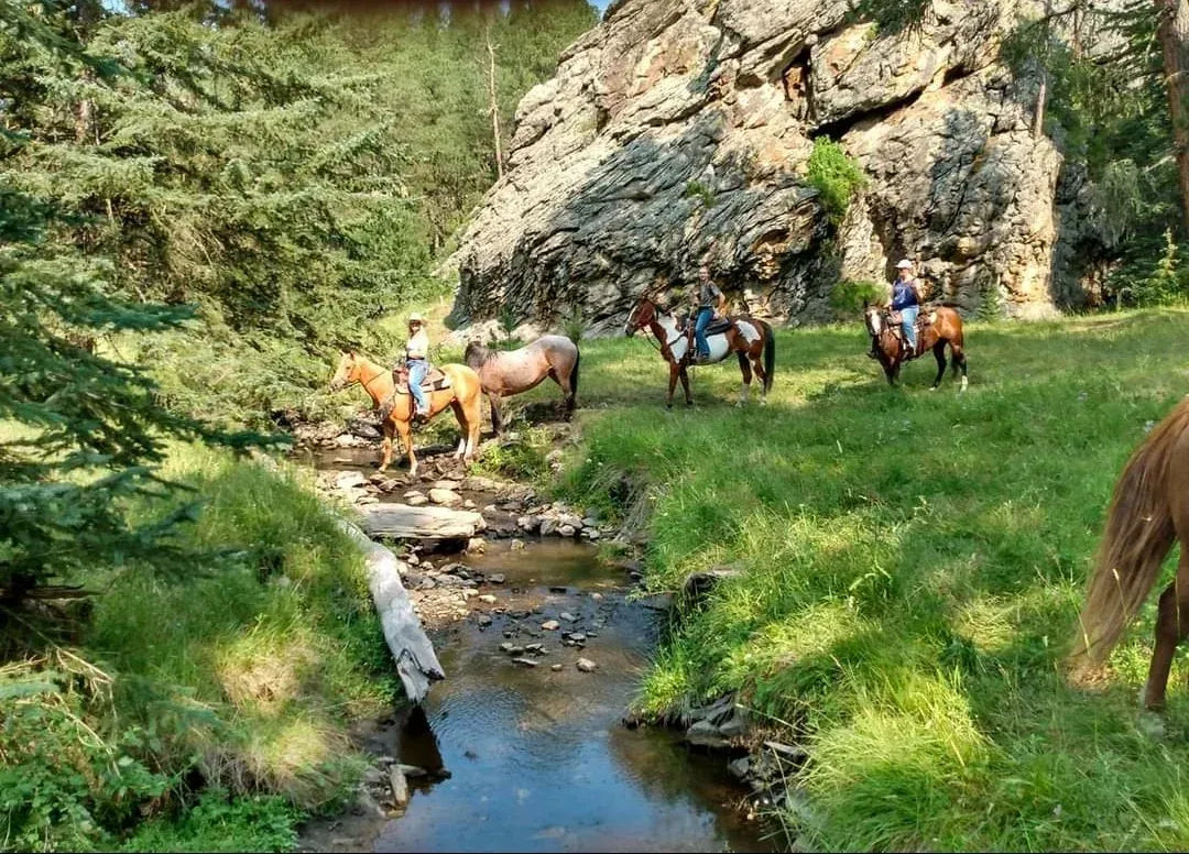Bridle Ridge Horse & RV Camp