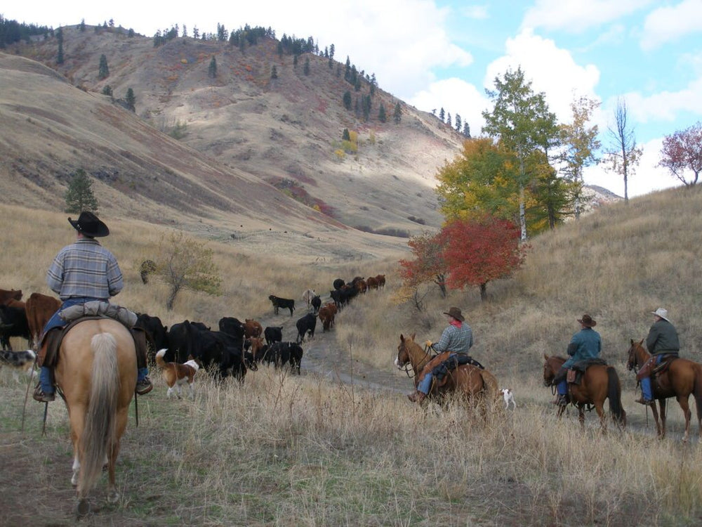 
                      
                        Bull Hill Guest Ranch
                      
                    