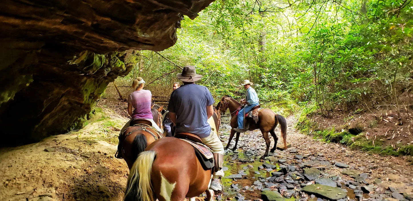 South East Pack Trips: Big South Fork TN