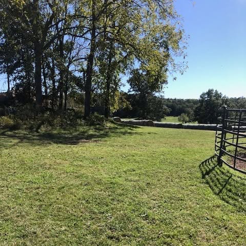 Norton Farm Stays