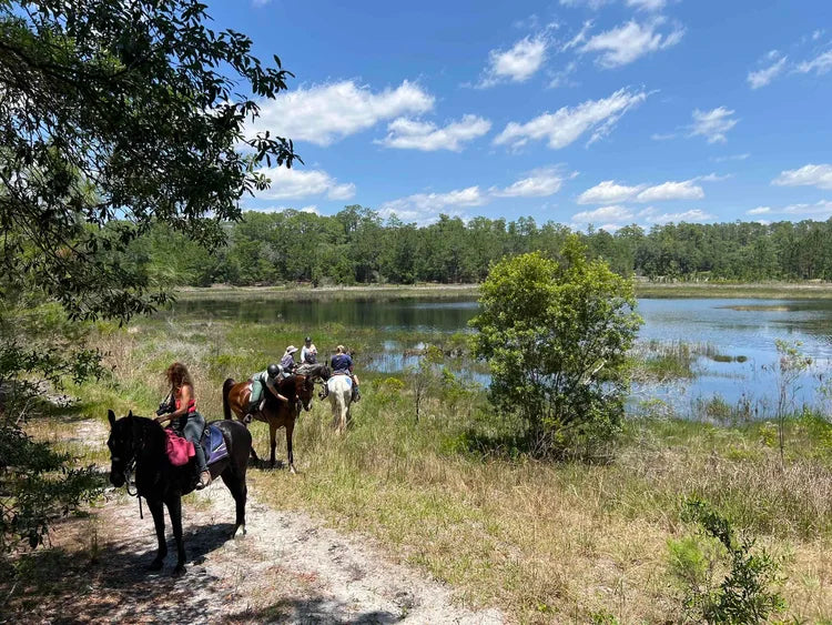 
                      
                        Black Horse Resort Ranch
                      
                    