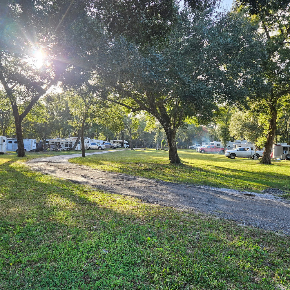 Seminole Wind Ranch - Seminole state forest
