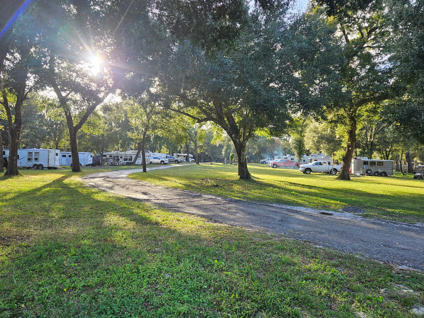 Seminole Wind Ranch - Seminole state forest