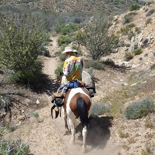 Oak Springs Ranch Riding Stables