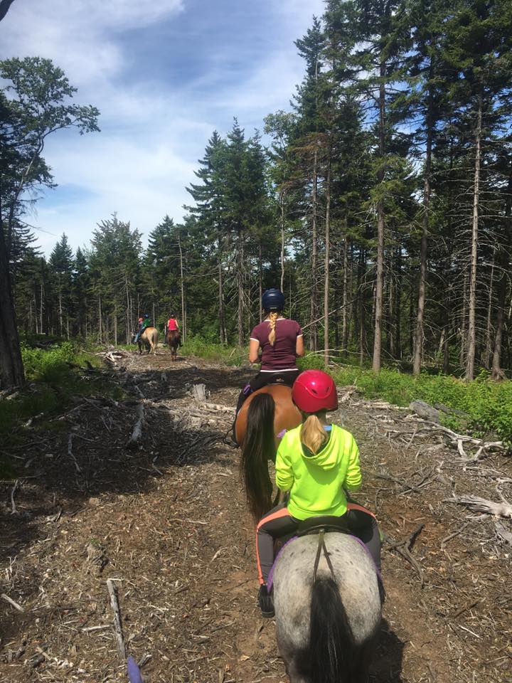 
                      
                        Buck N Horse Campground
                      
                    