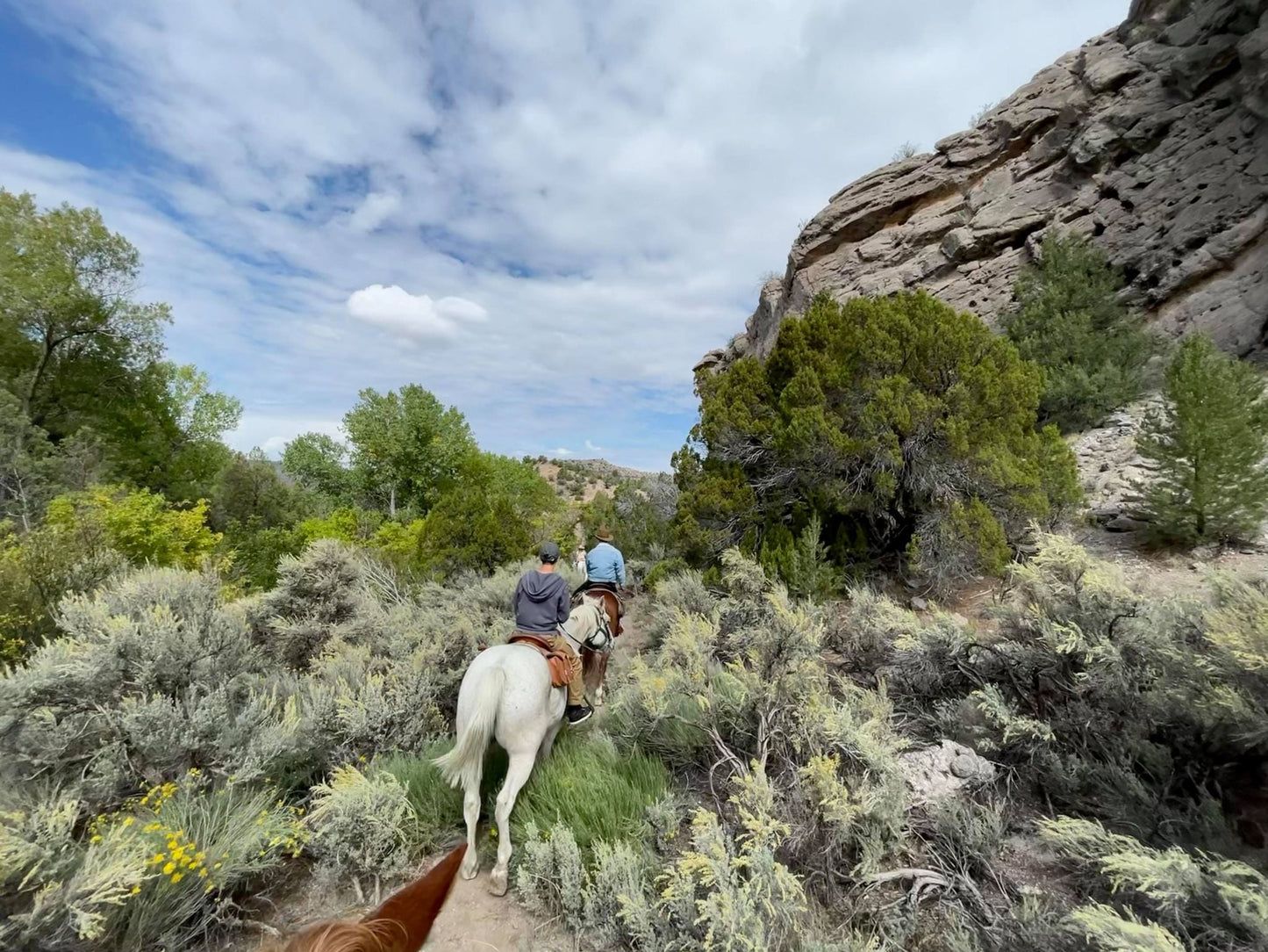 Cieneguilla Stables
