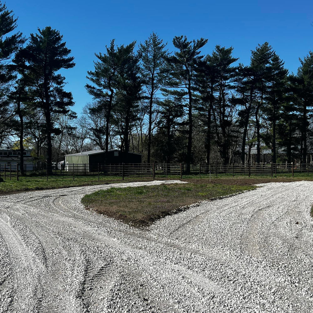 Lazy S Overnights & Boarding