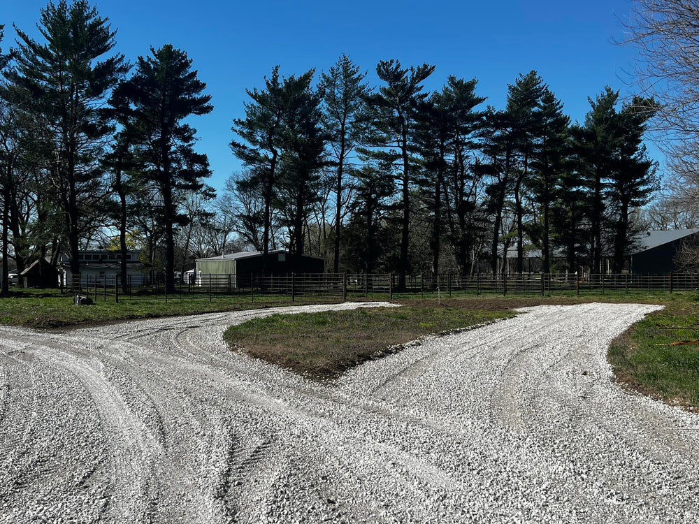 Lazy S Overnights & Boarding