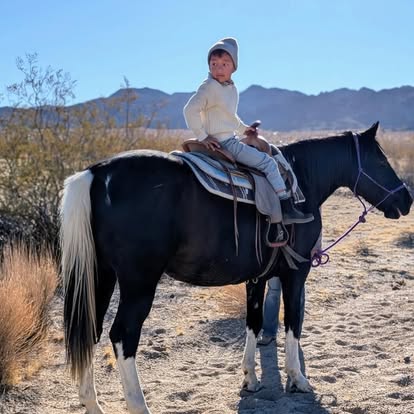 
                      
                        Cascade Trails Mustang Sanctuary
                      
                    