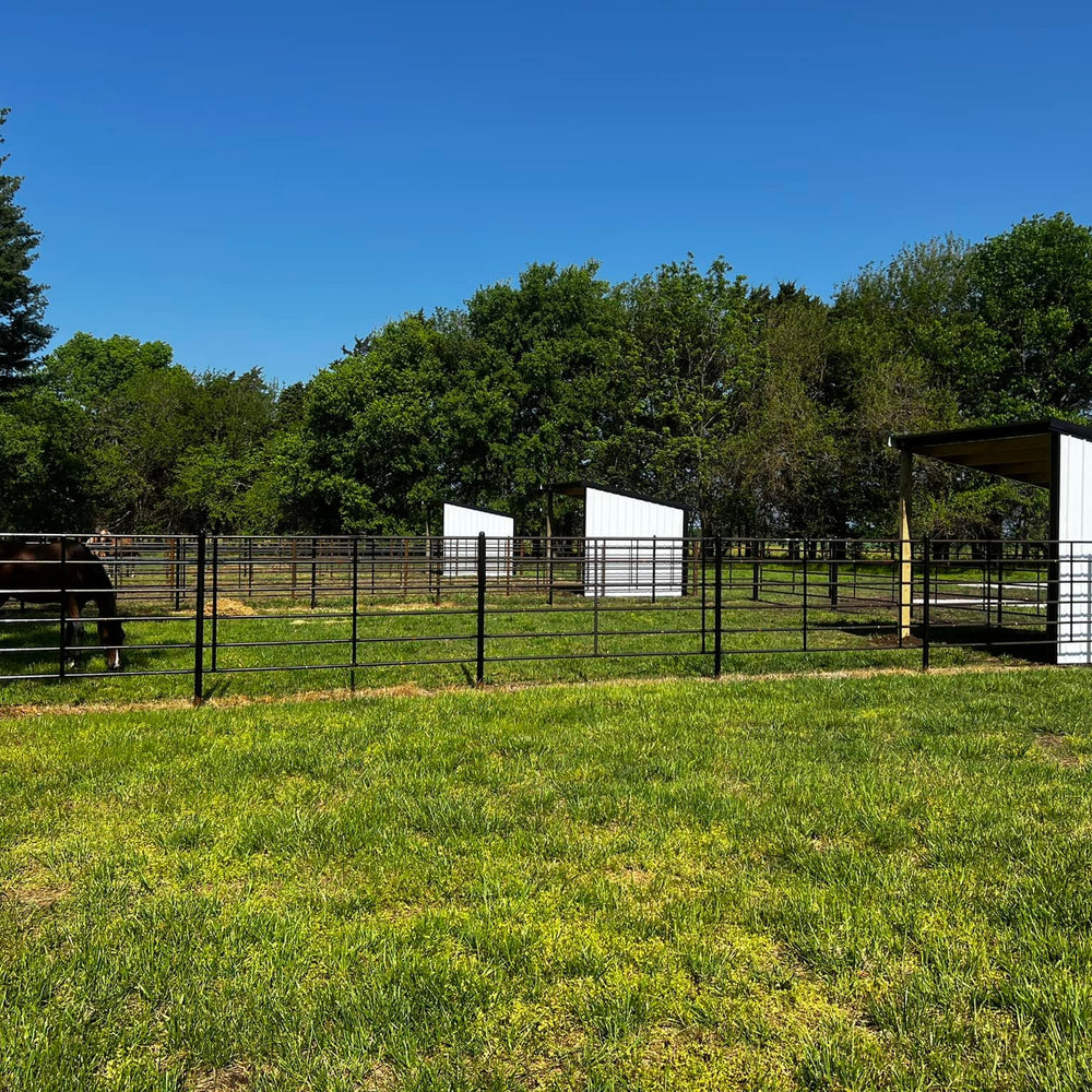 Lazy S Overnights & Boarding