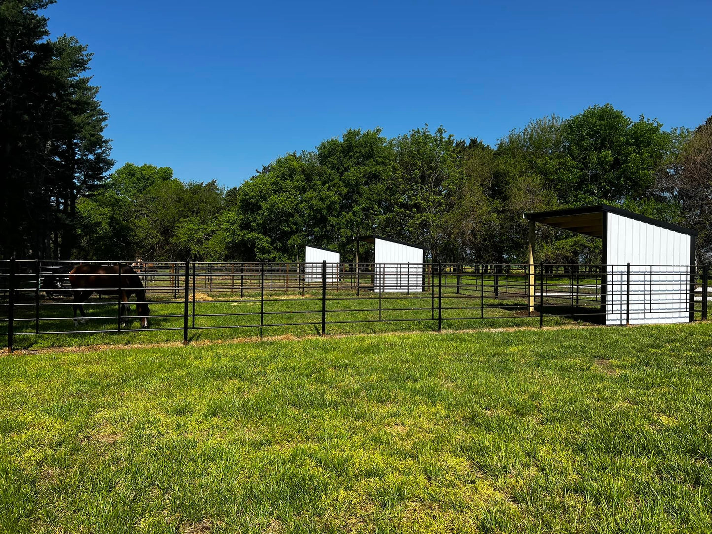 Lazy S Overnights & Boarding