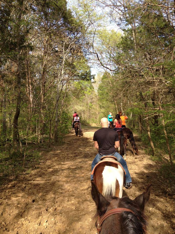 
                      
                        JuRo Stables
                      
                    