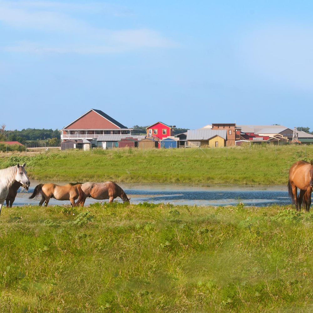 Beaumont Guest Ranch
