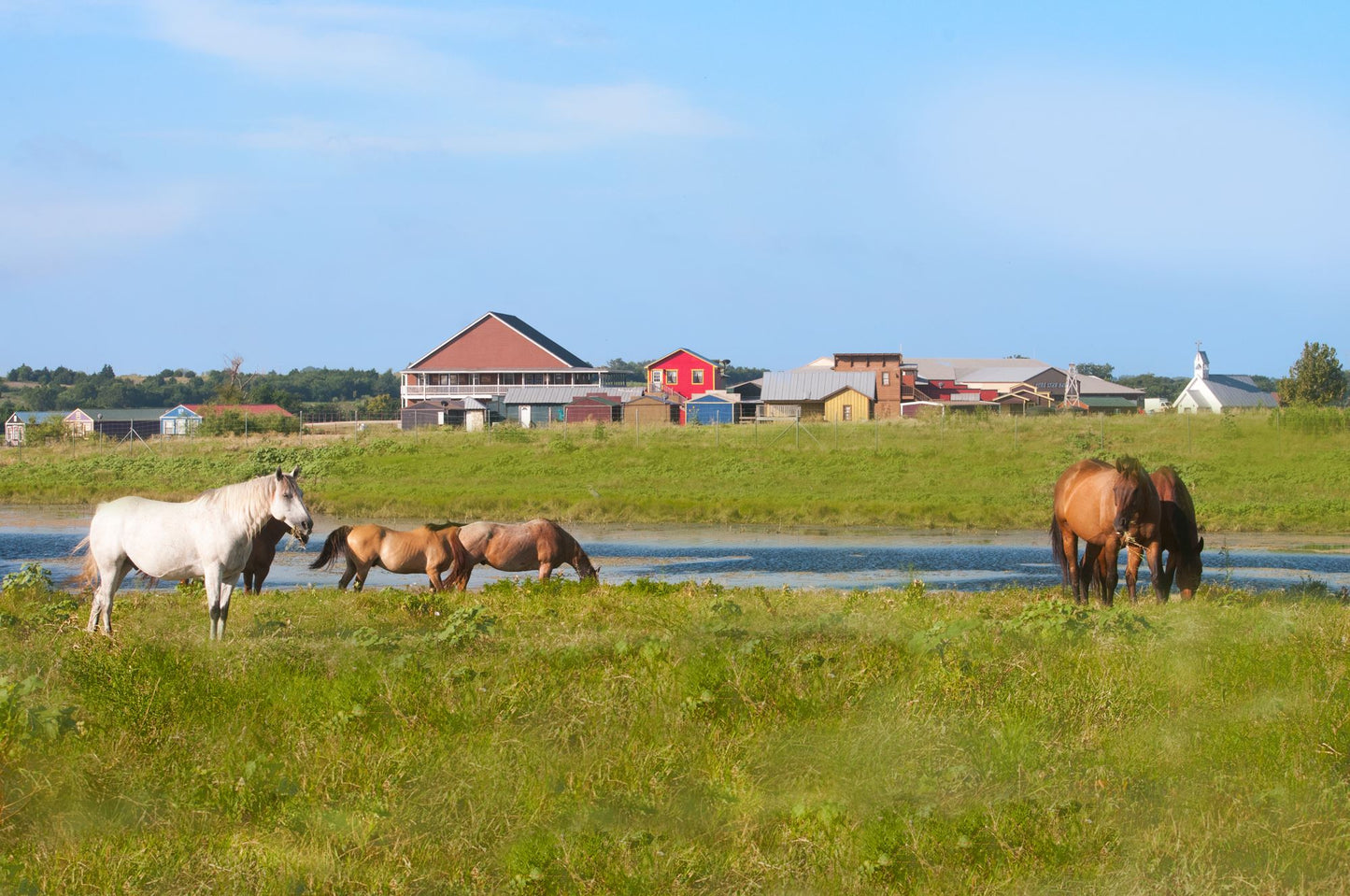 Beaumont Guest Ranch