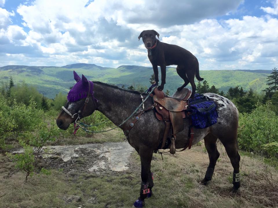 
                      
                        Buck N Horse Campground
                      
                    