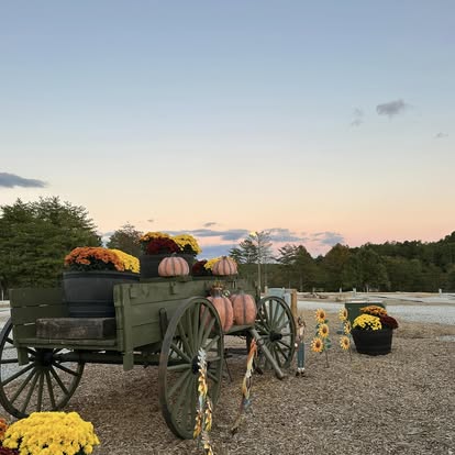 
                      
                        Rustling Pines Campground
                      
                    