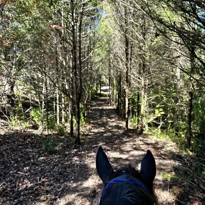 
                      
                        Rustling Pines Campground
                      
                    