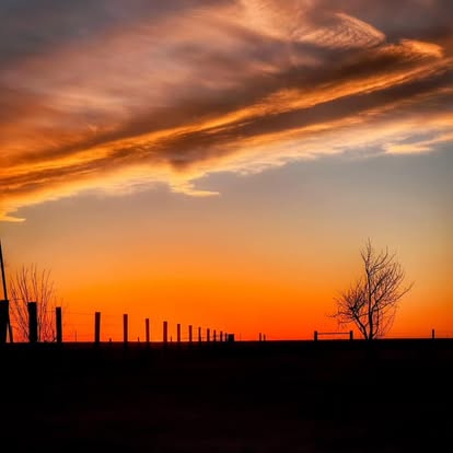 
                      
                        North Fork Horse Ranch
                      
                    