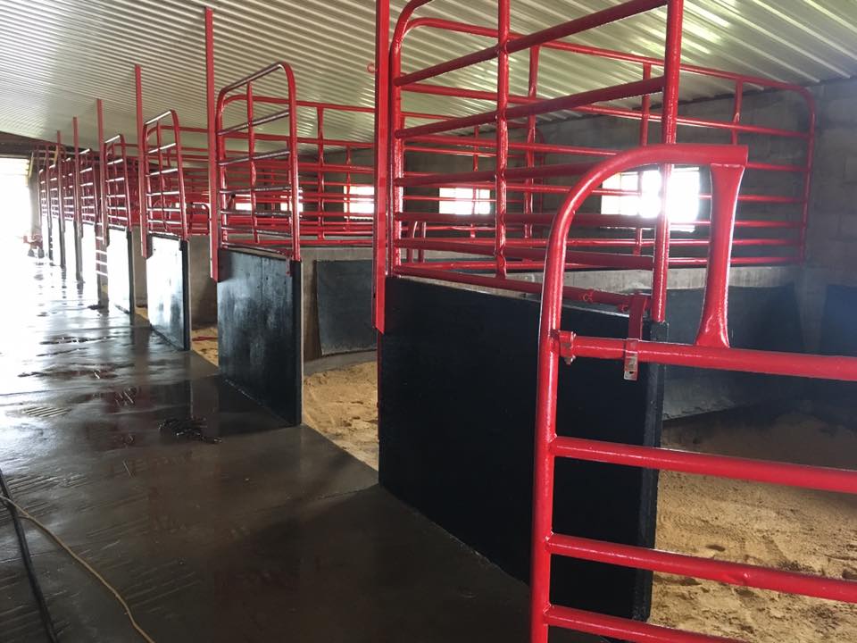 
                      
                        Red Roof Stable and Farm
                      
                    