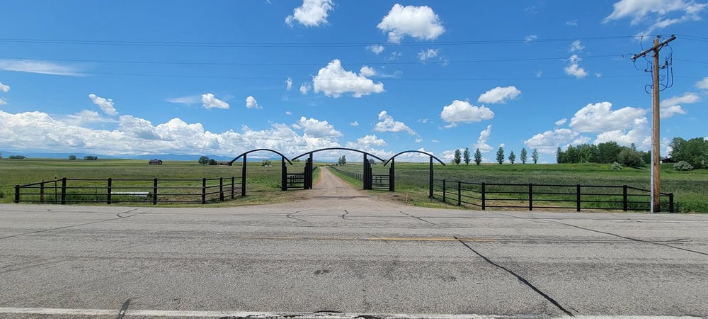 Sings With The Eagle