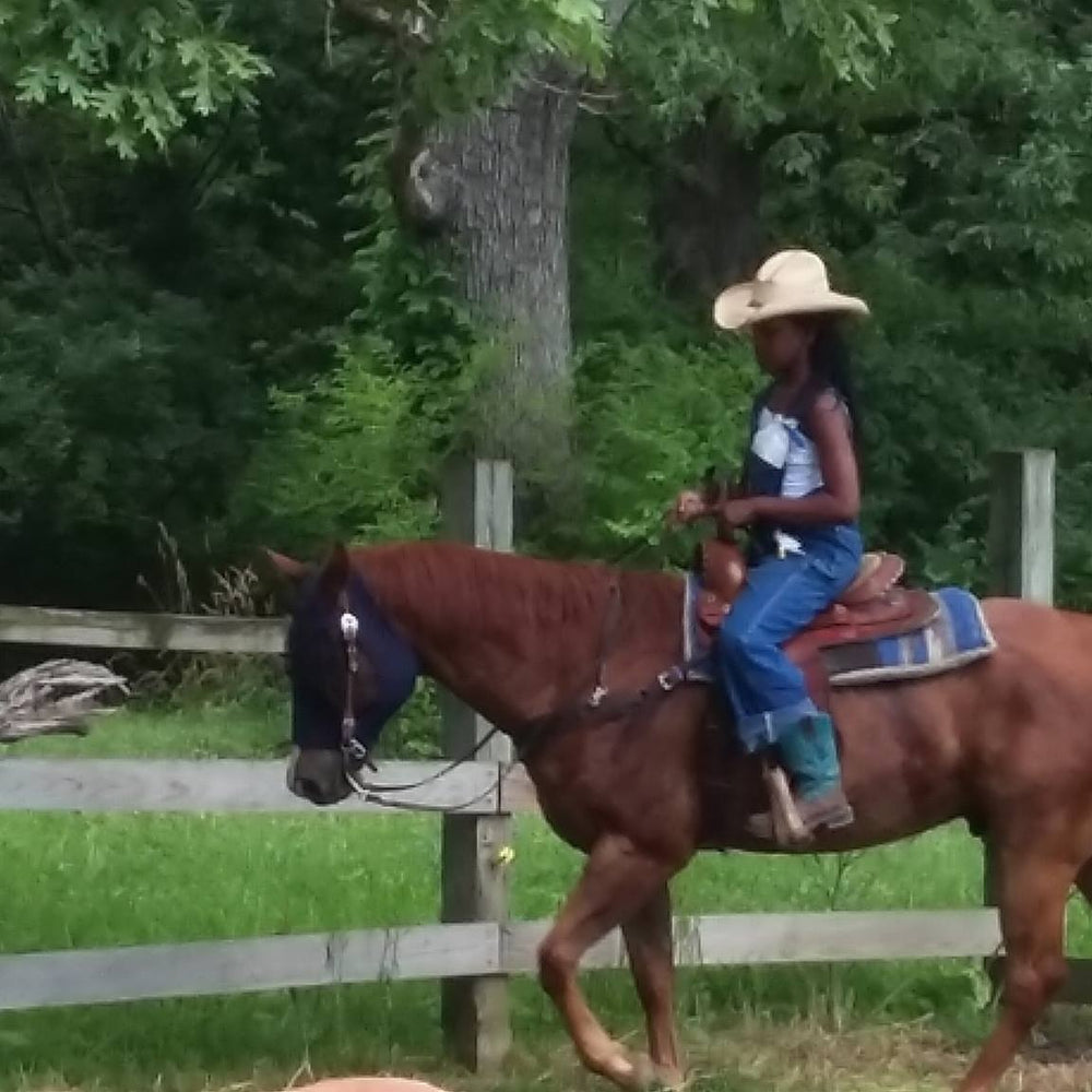 Kankakee River State Park Riding Stables