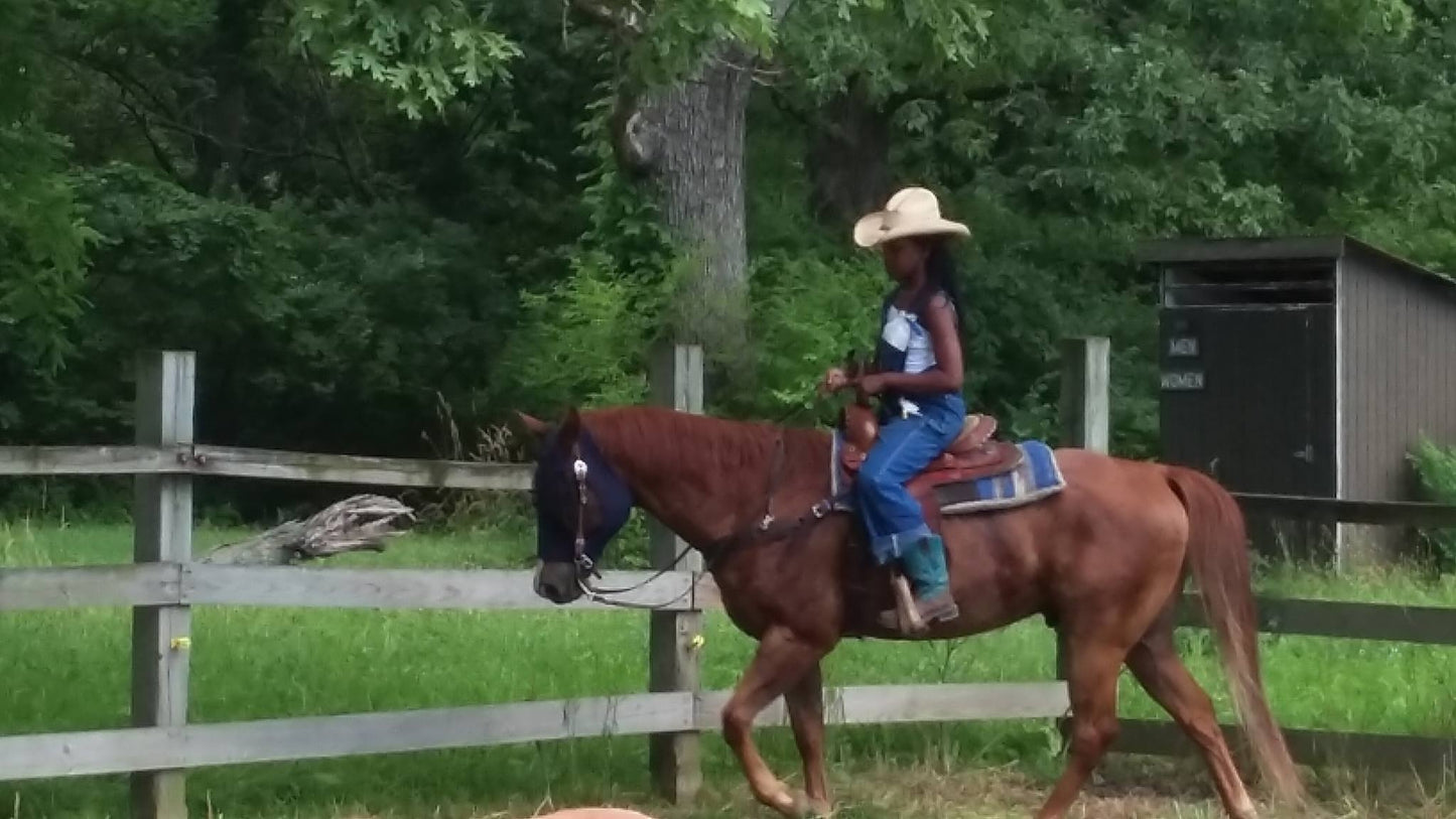 Kankakee River State Park Riding Stables