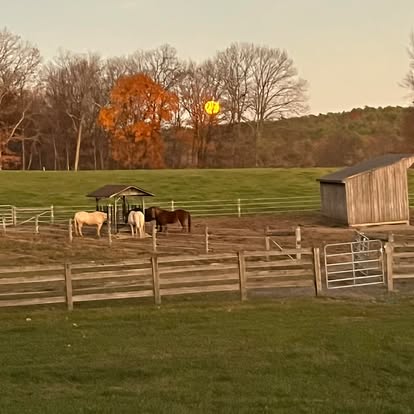 
                      
                        K&B Mountainside Farm
                      
                    