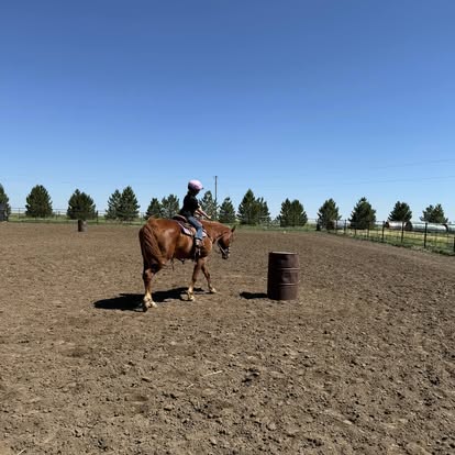 
                      
                        North Fork Horse Ranch
                      
                    