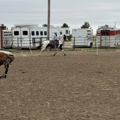
                      
                        North Fork Horse Ranch
                      
                    