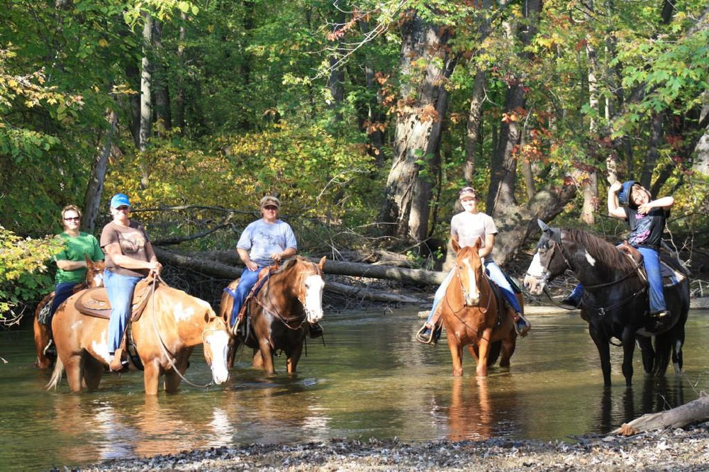 Circle J Horse Farm LLC