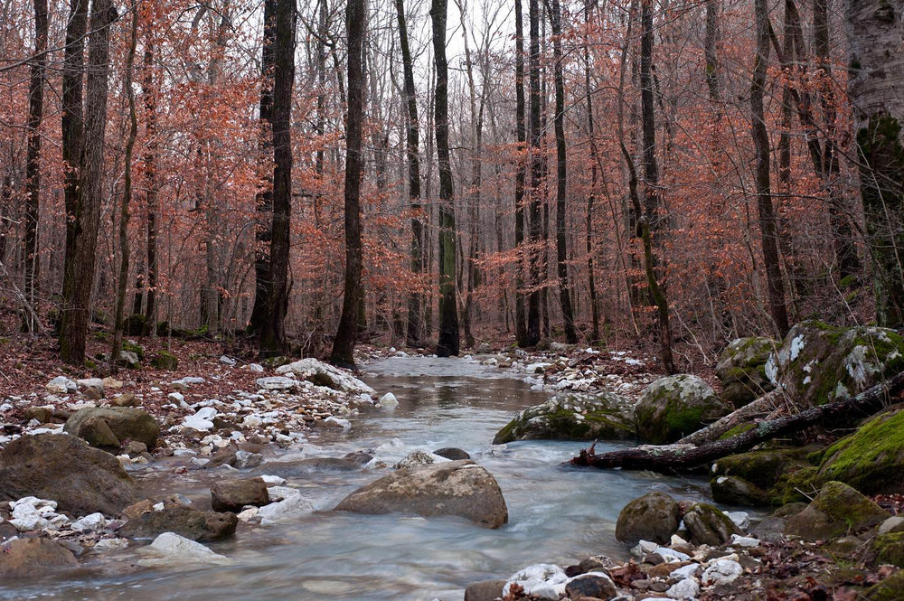 
                      
                        Rim Rock Cover Ranch
                      
                    