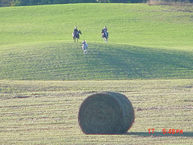 Mystic Monarch Farm
