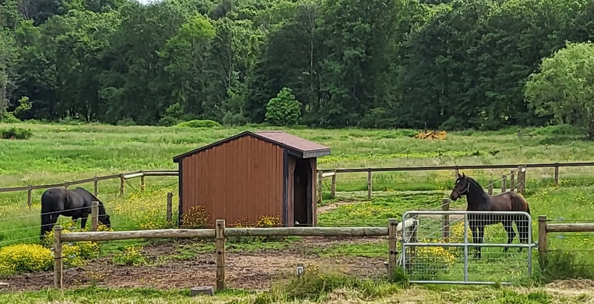 Peaceful Valley Equestrian Center