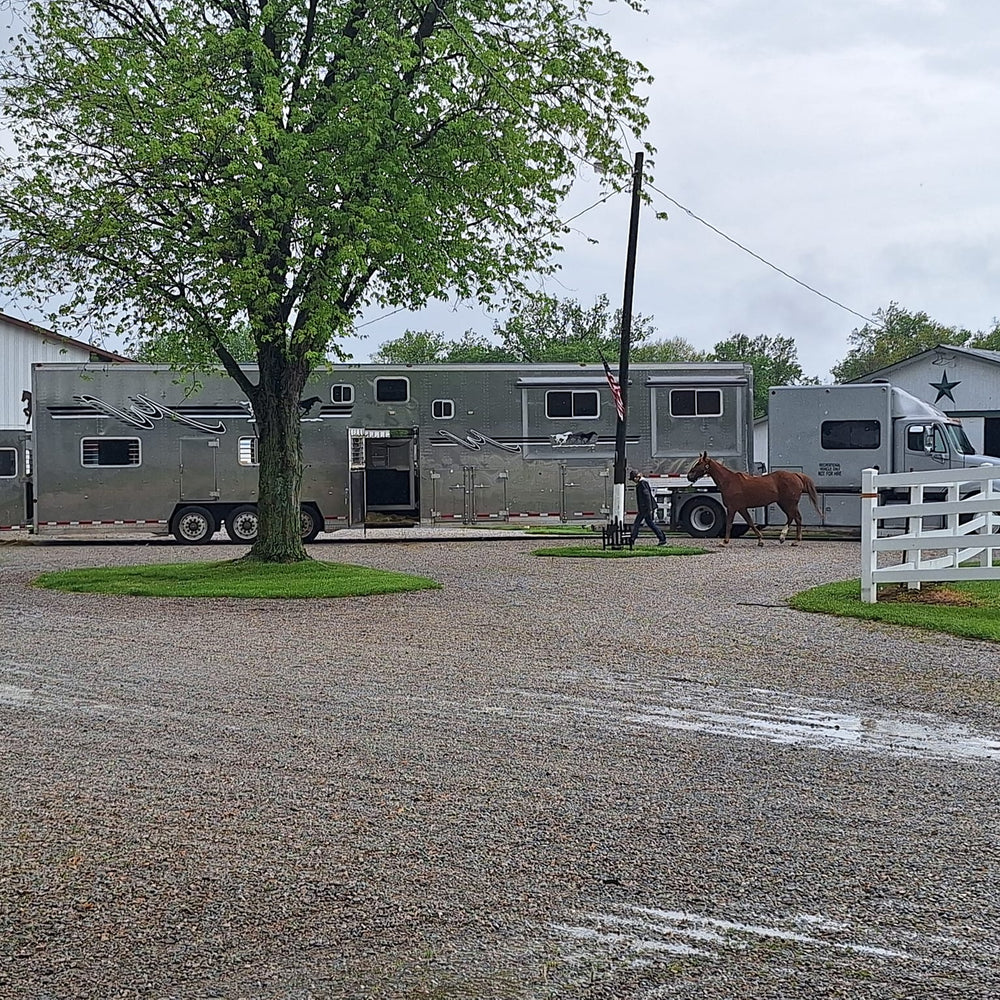 
                      
                        Campground Stables
                      
                    