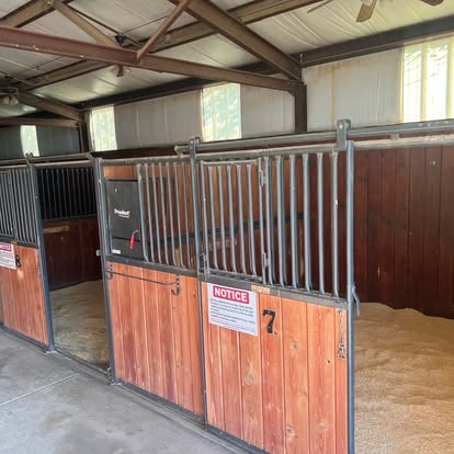 Amarillo Lone Star Bed & Bale